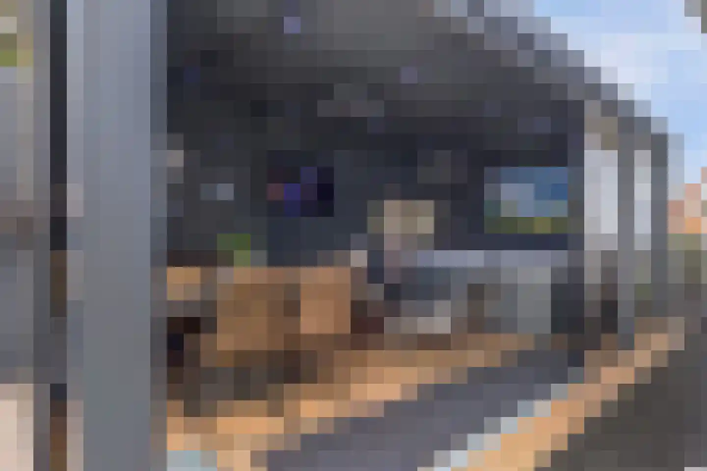 IJsvogel 81 Lathum thumbnail 65