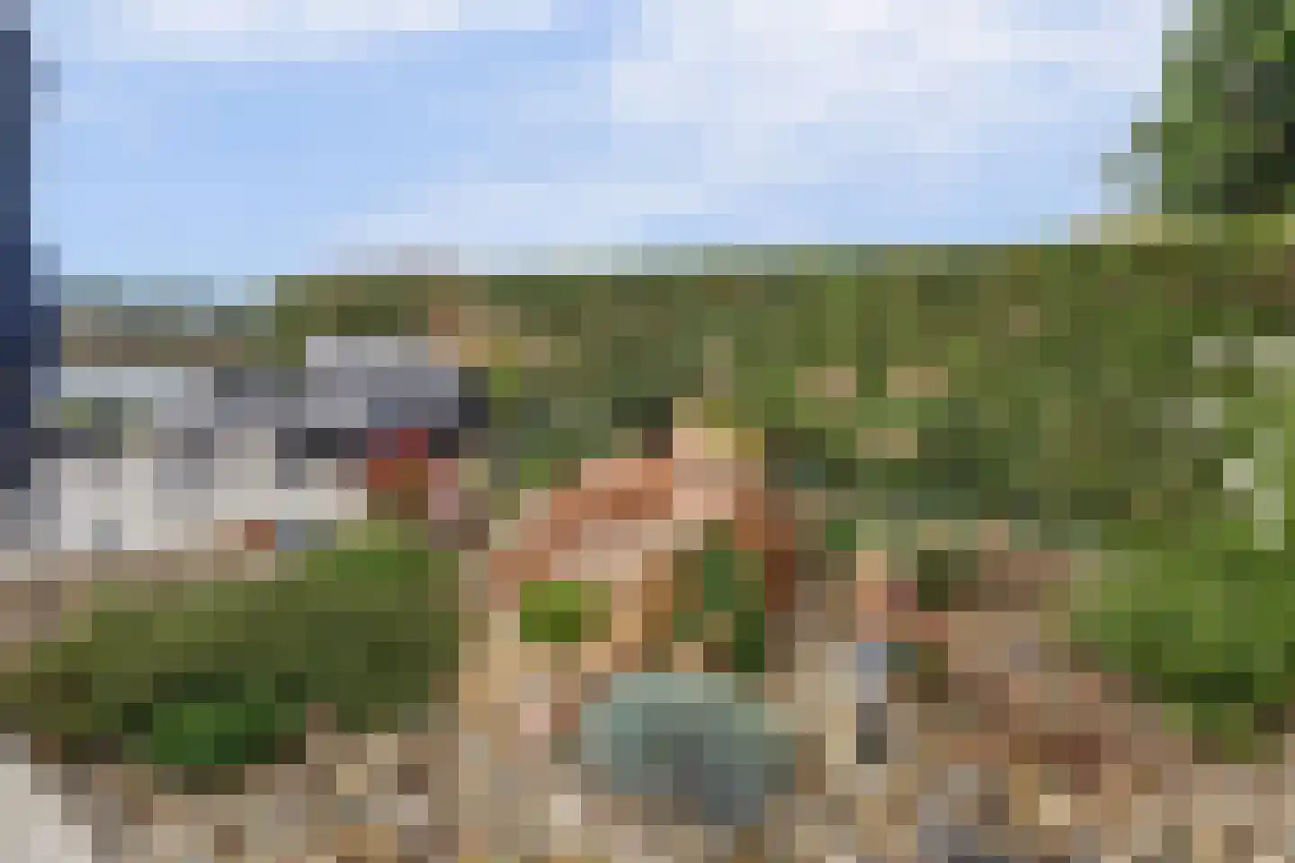 IJsvogel 81 Lathum thumbnail 68