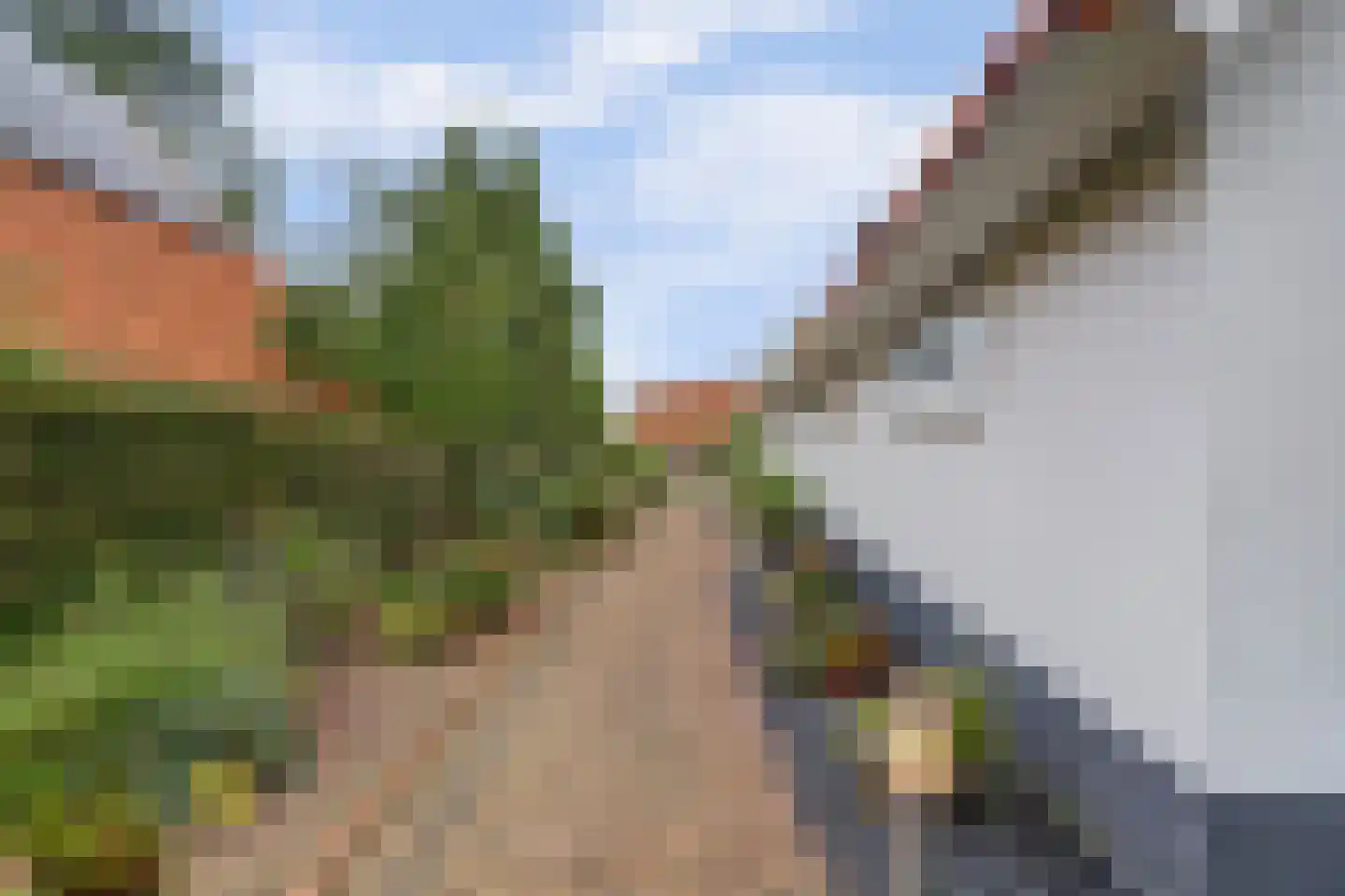 IJsvogel 81 Lathum thumbnail 7