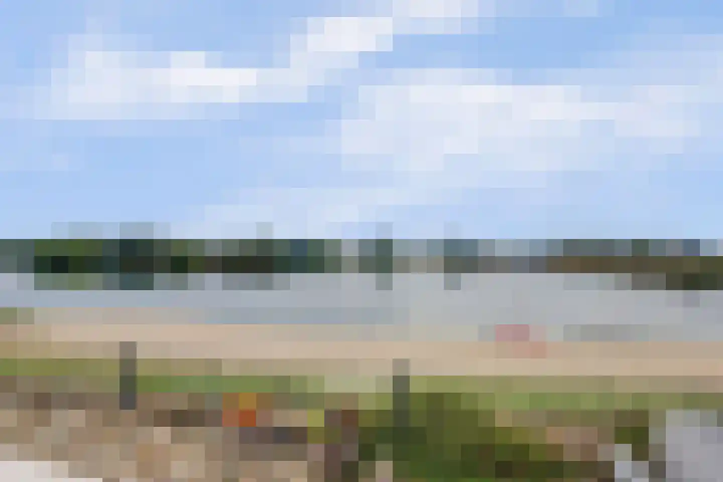 IJsvogel 81 Lathum thumbnail 70