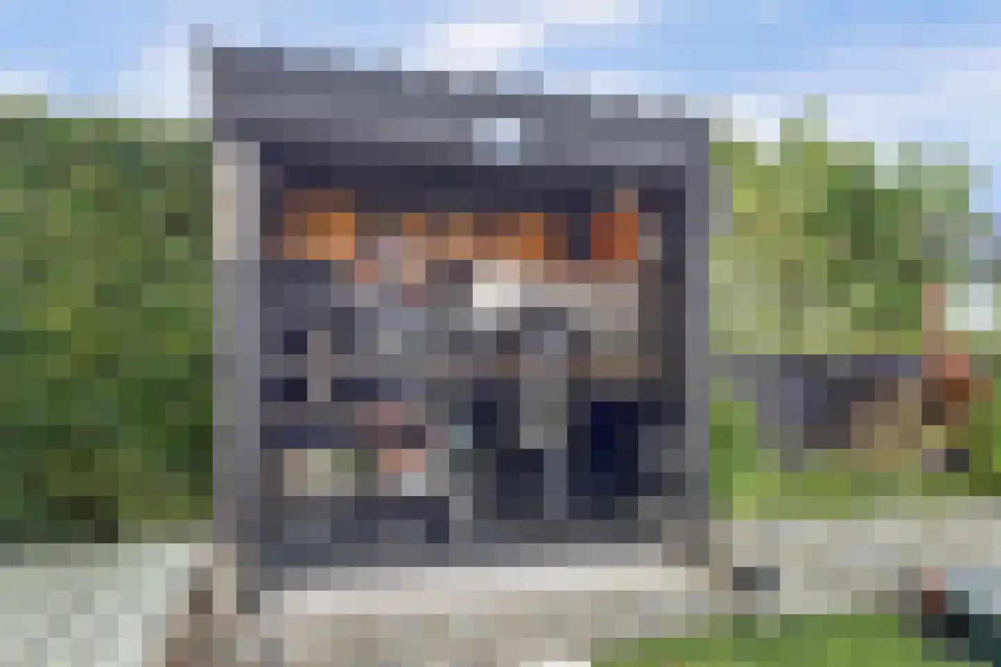 IJsvogel 81 Lathum thumbnail 74