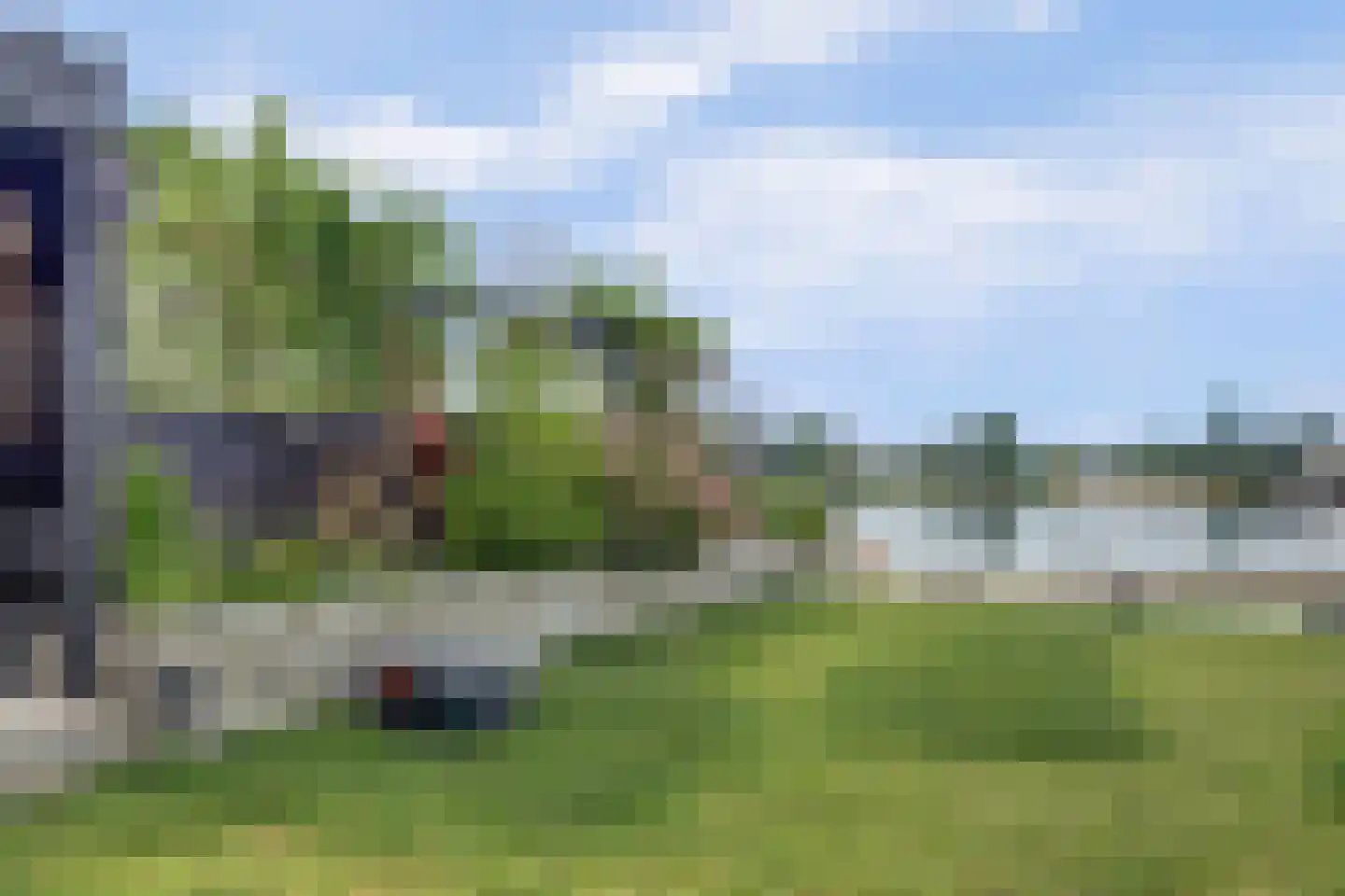 IJsvogel 81 Lathum thumbnail 75