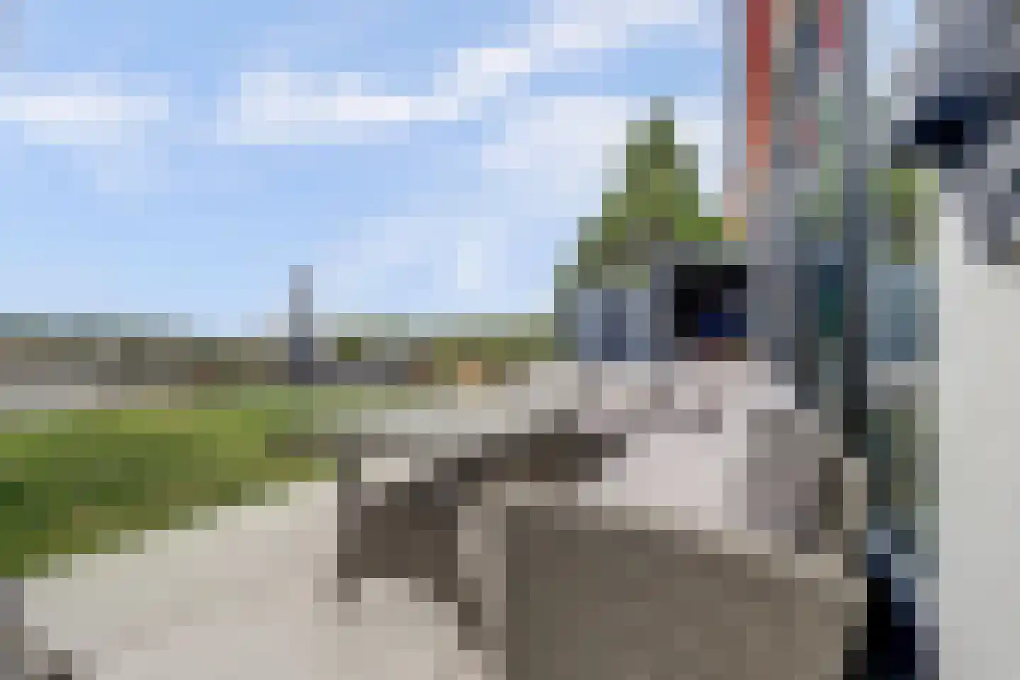 IJsvogel 81 Lathum thumbnail 76