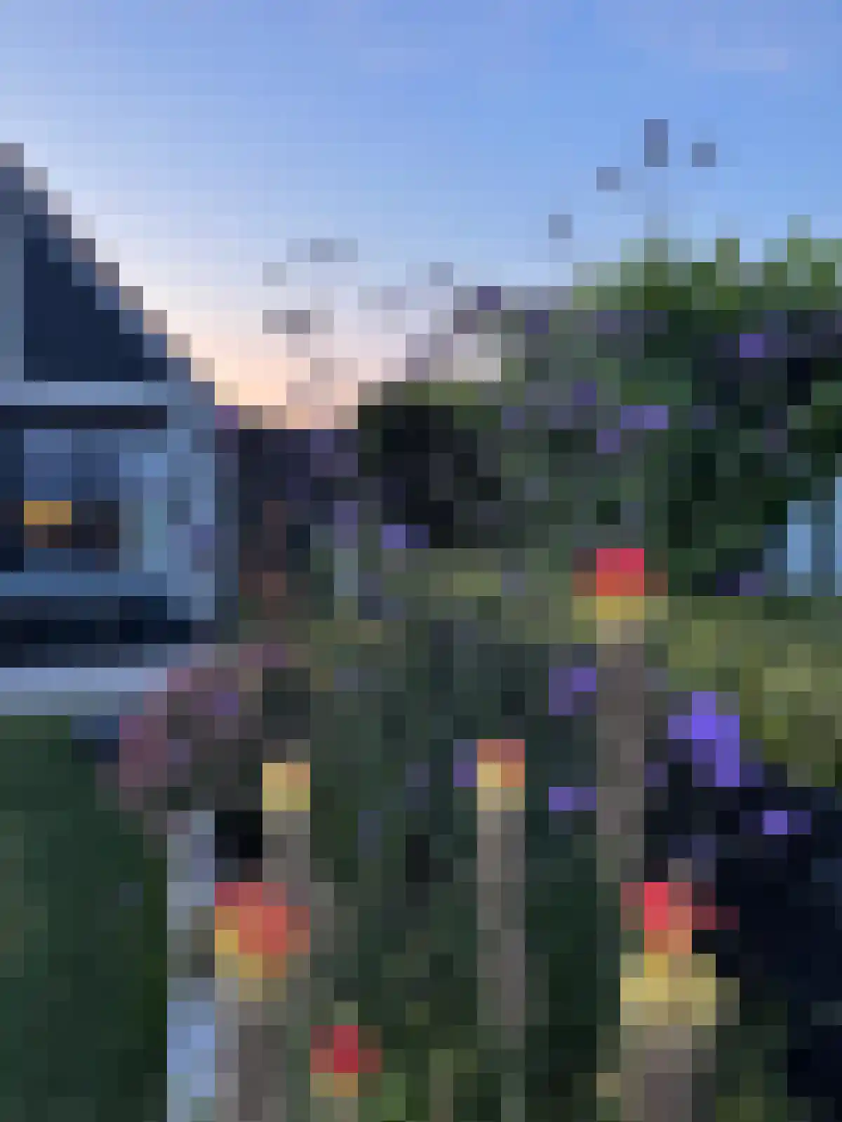 IJsvogel 81 Lathum thumbnail 77