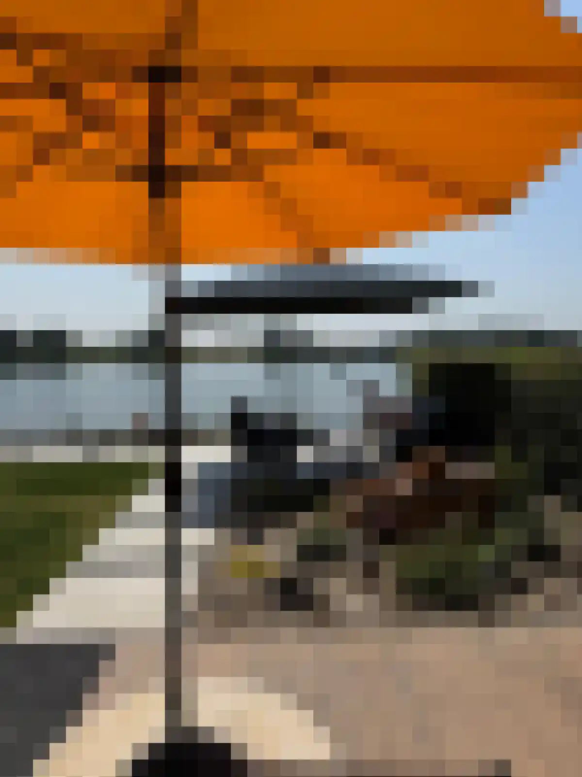 IJsvogel 81 Lathum thumbnail 78