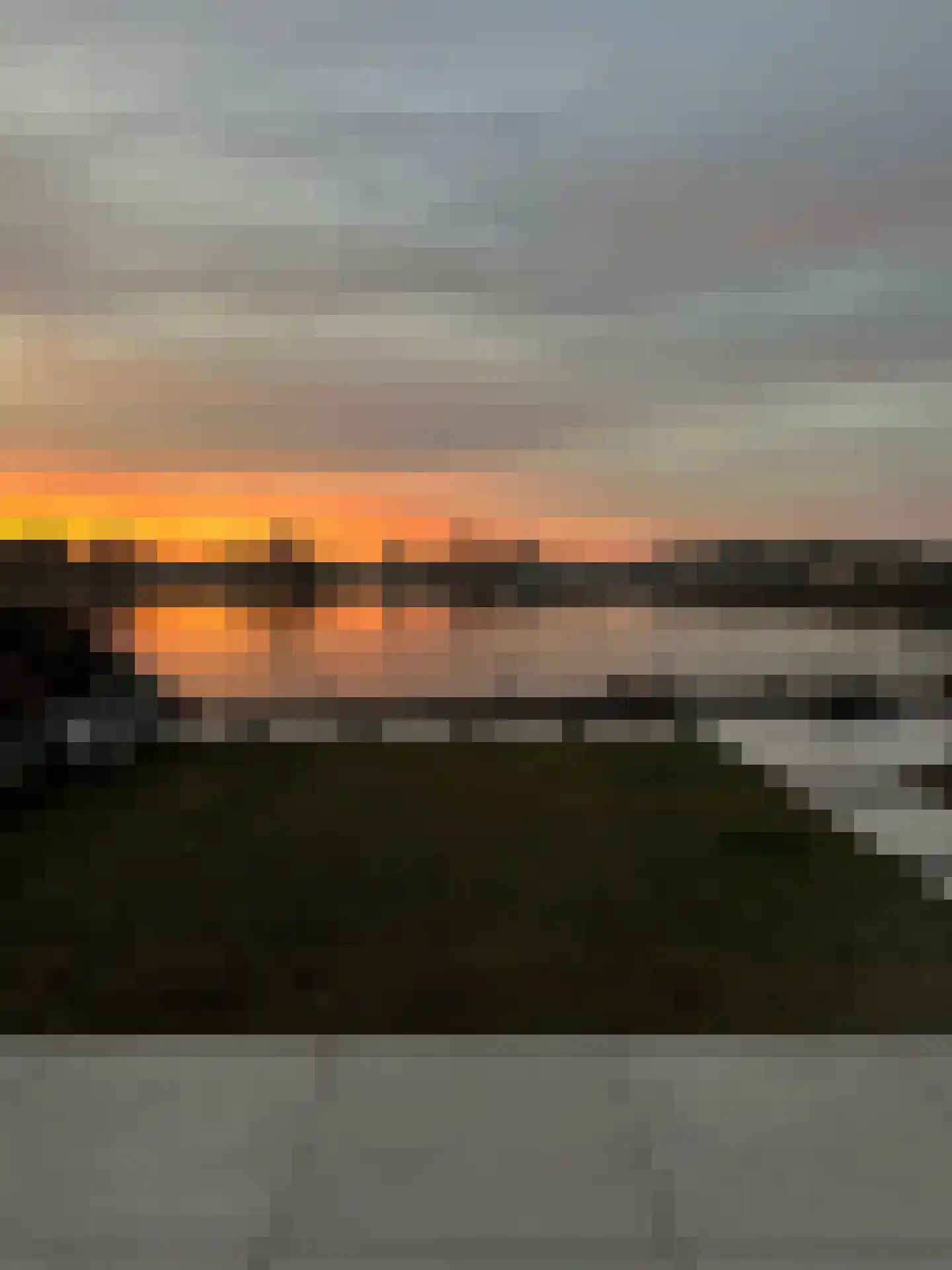 IJsvogel 81 Lathum thumbnail 79