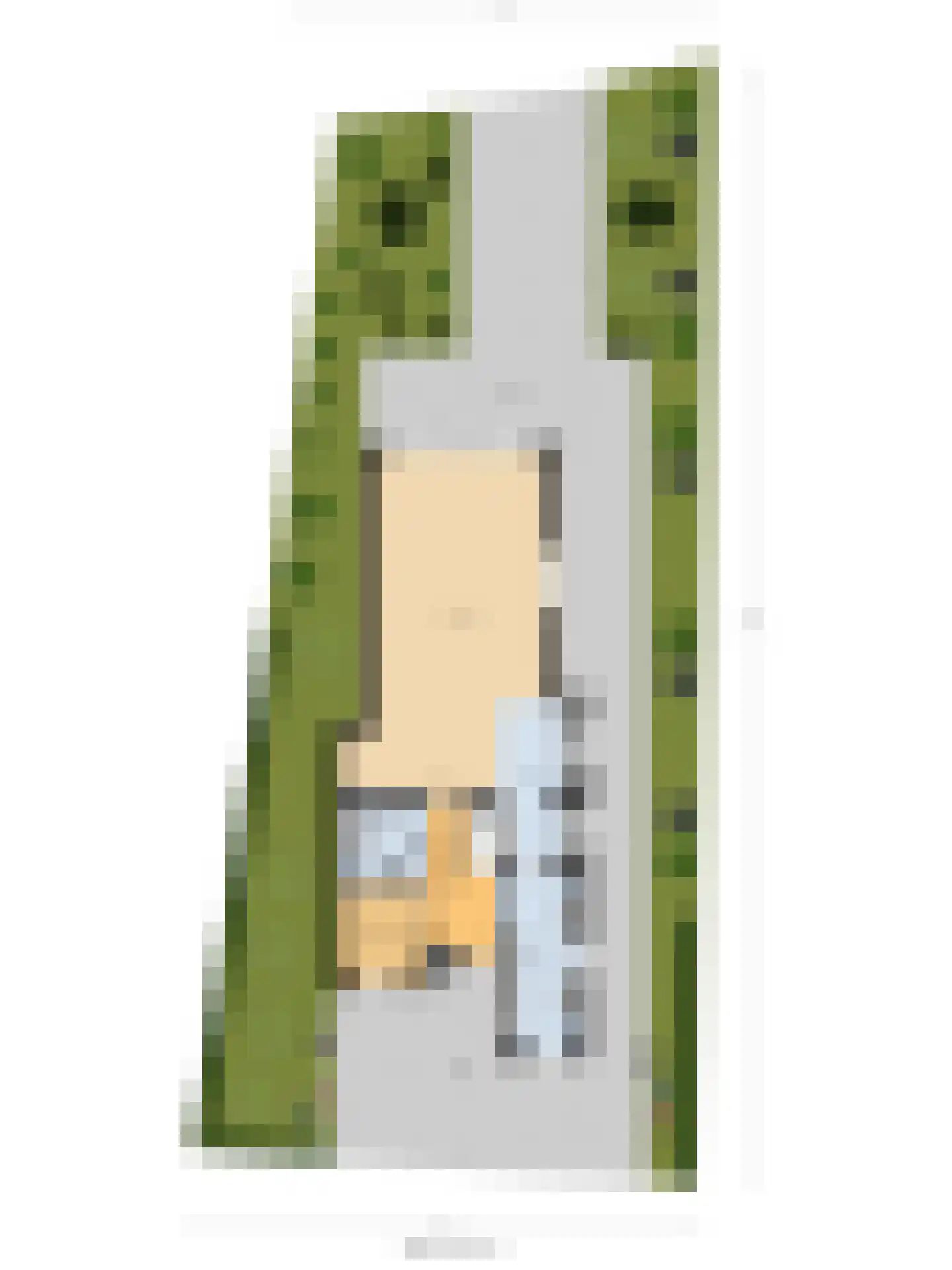 IJsvogel 81 Lathum thumbnail 81