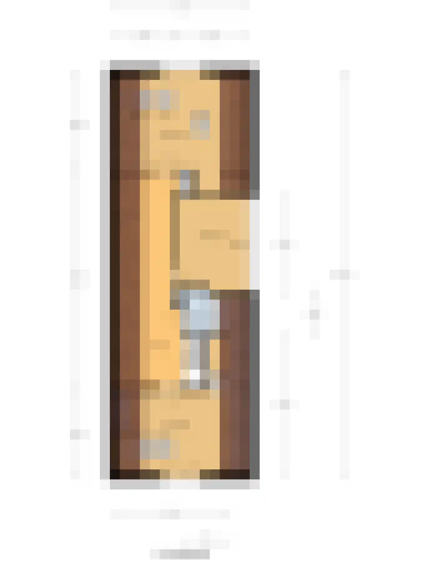 IJsvogel 81 Lathum thumbnail 83
