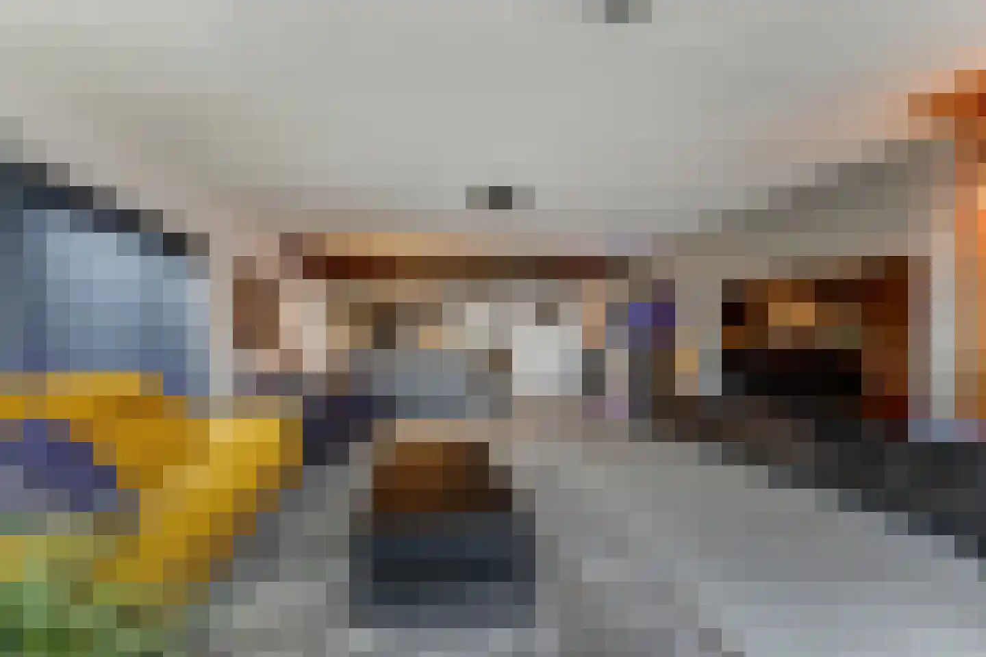 IJsvogel 81 Lathum thumbnail 9