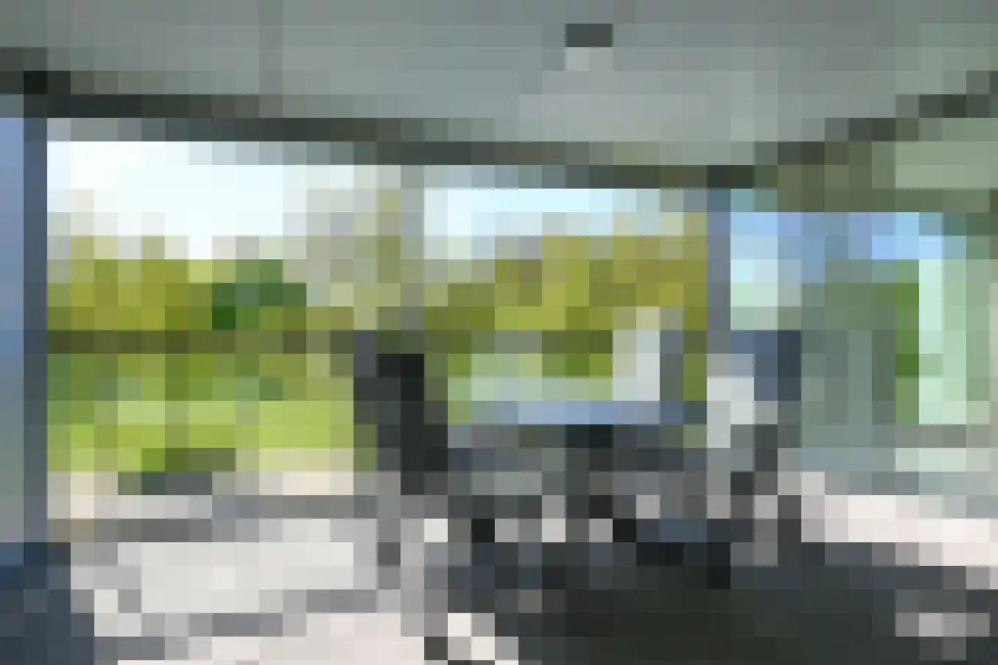IJsvogel 90 Blokker thumbnail 10