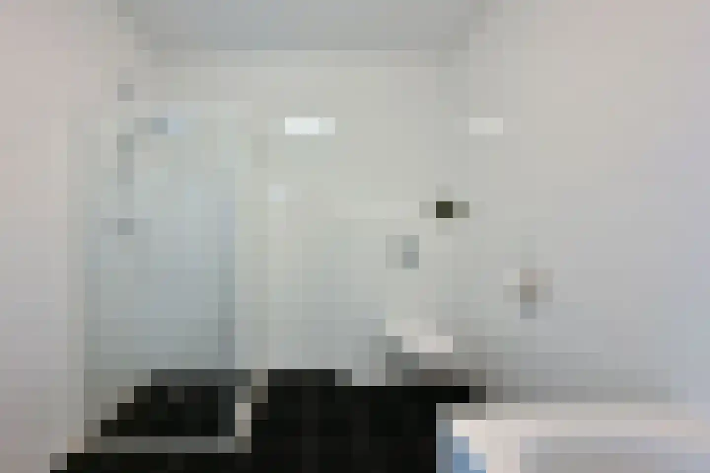 IJsvogel 90 Blokker thumbnail 16