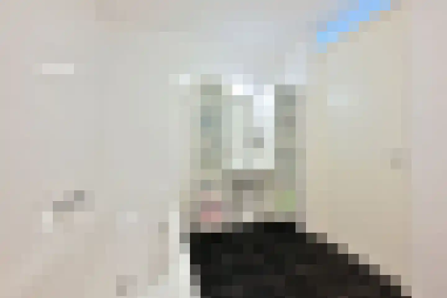 IJsvogel 90 Blokker thumbnail 17