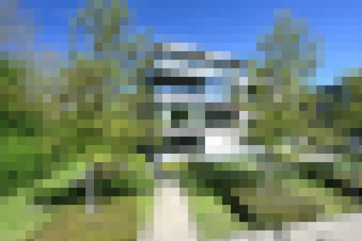 IJsvogel 90 Blokker foto 2