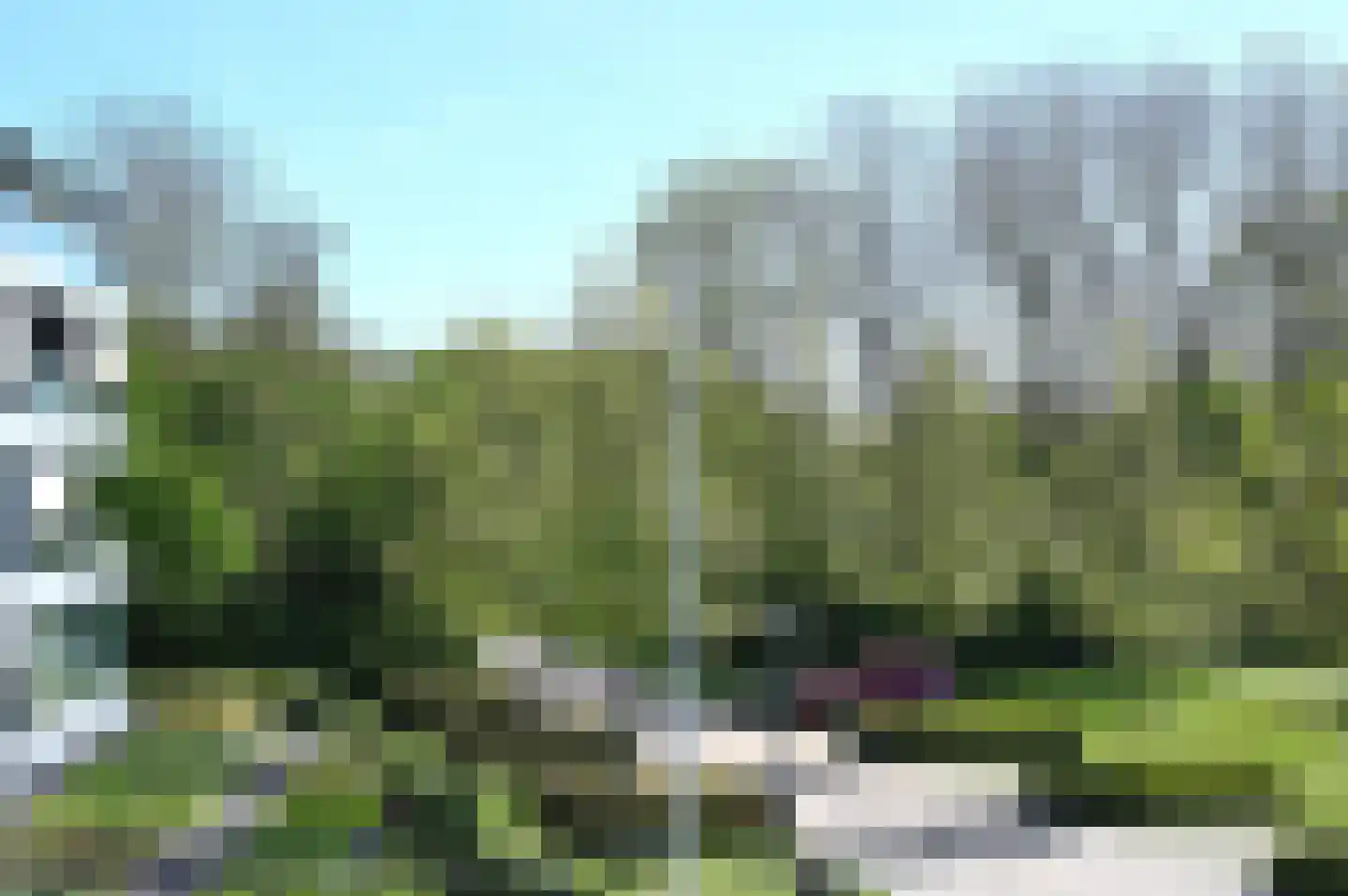 IJsvogel 90 Blokker thumbnail 20