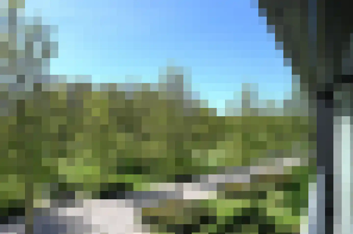 IJsvogel 90 Blokker thumbnail 21