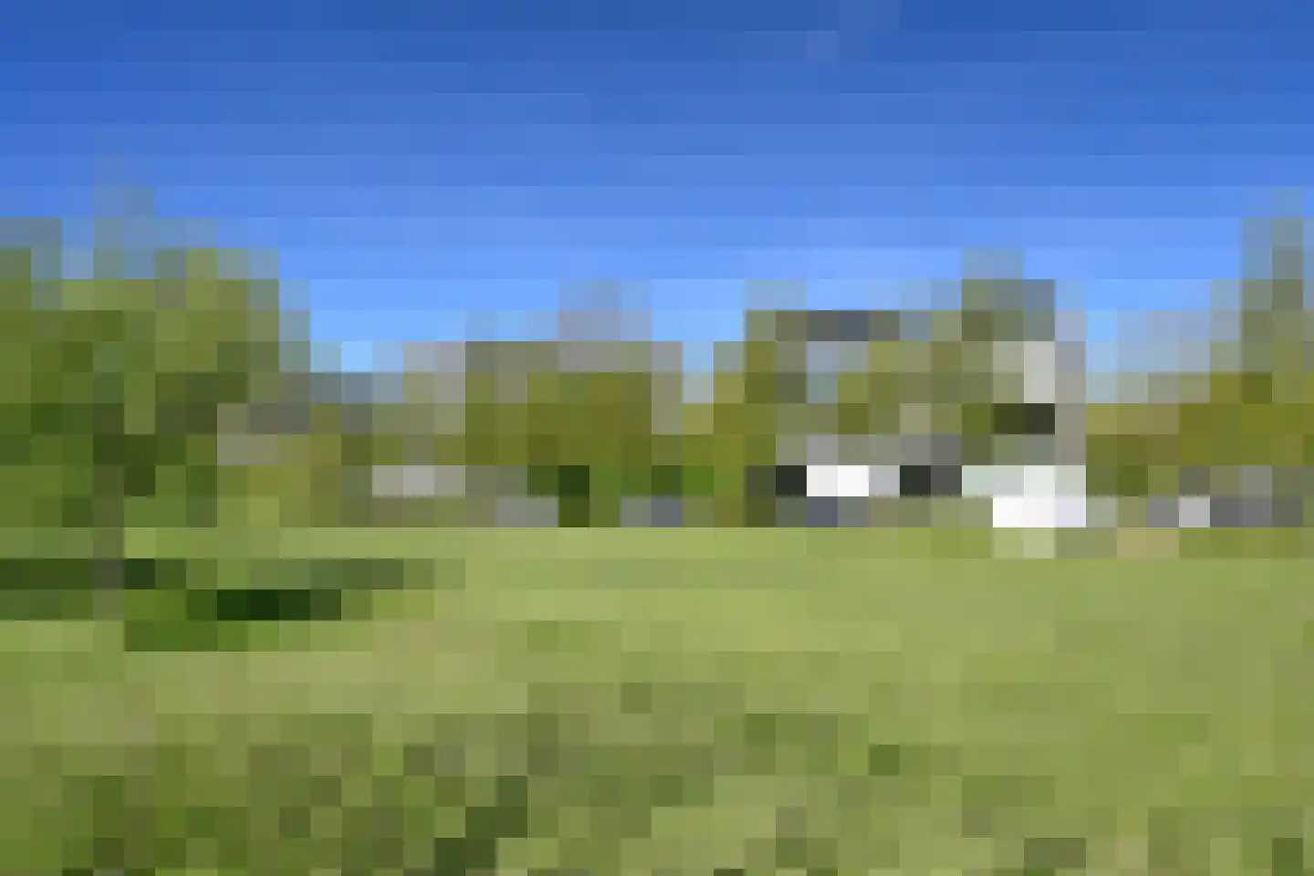 IJsvogel 90 Blokker thumbnail 27