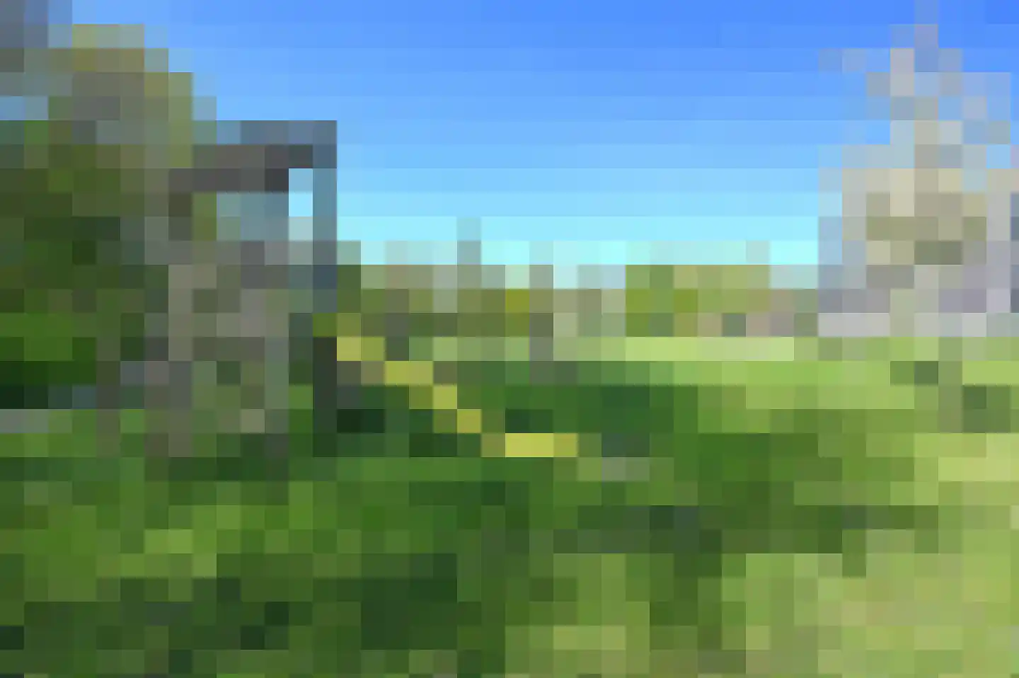 IJsvogel 90 Blokker thumbnail 28