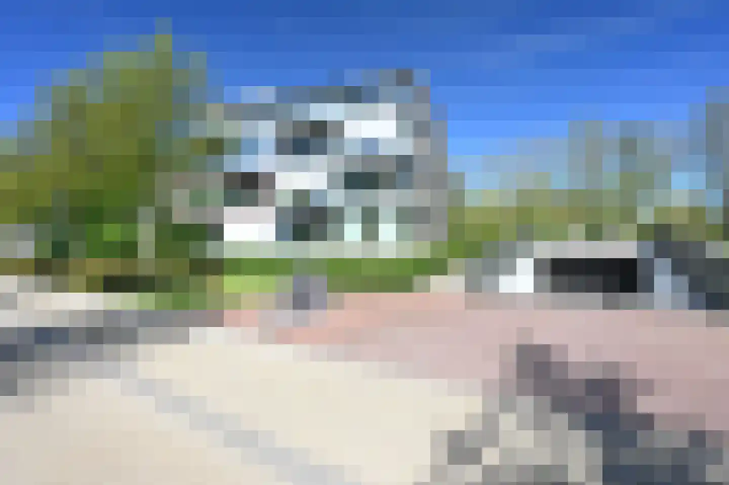 IJsvogel 90 Blokker foto 3