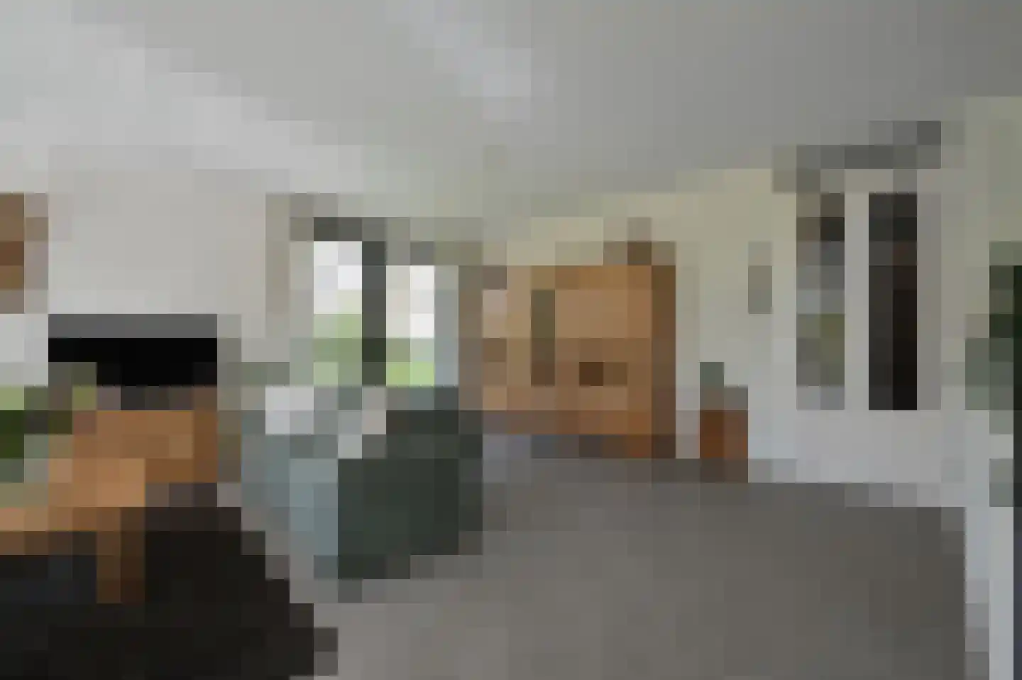 IJsvogel 90 Blokker thumbnail 7