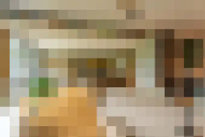 IJsvogelhof 15 Leiden thumbnail 11