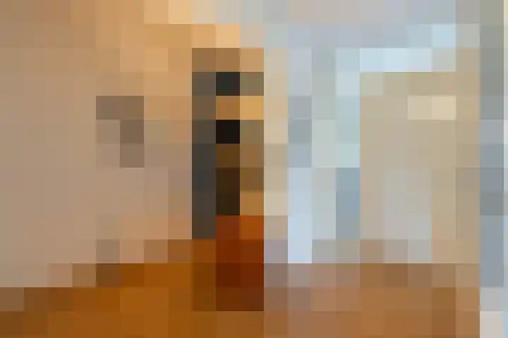 IJsvogelhof 15 Leiden thumbnail 13