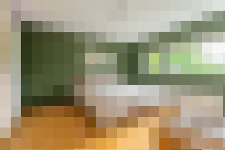 IJsvogelhof 15 Leiden thumbnail 16