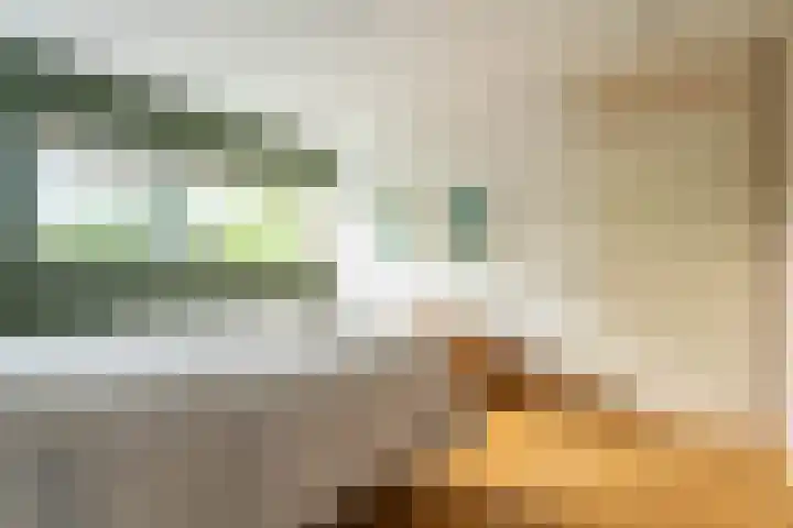 IJsvogelhof 15 Leiden thumbnail 17