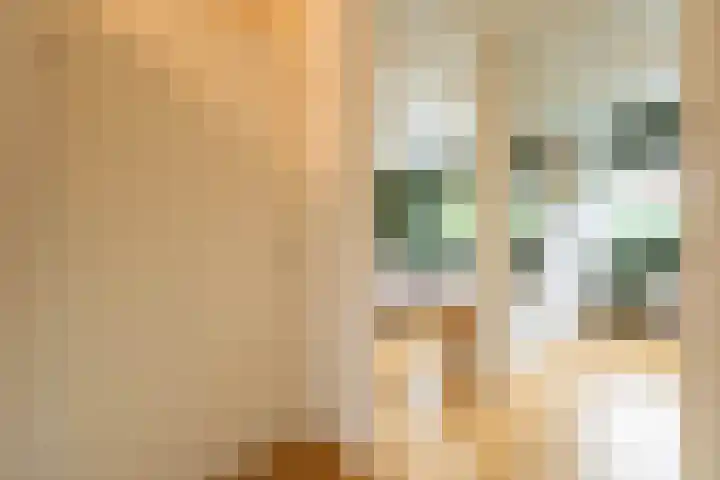 IJsvogelhof 15 Leiden thumbnail 22