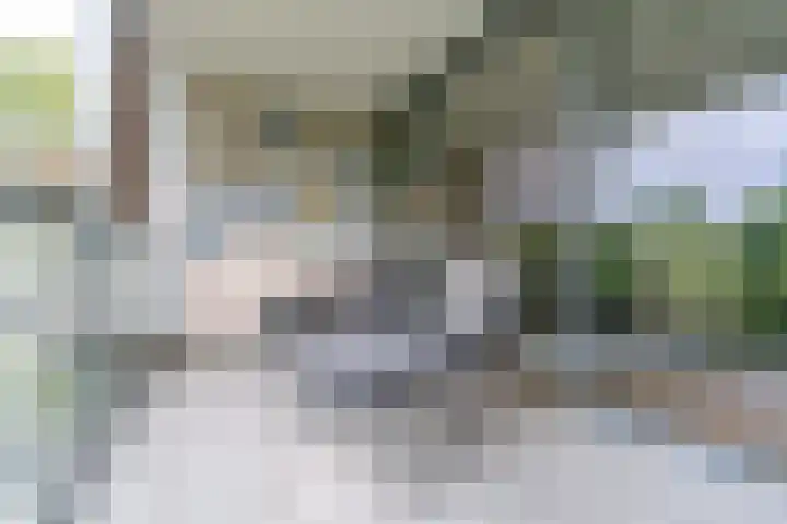 IJsvogelhof 15 Leiden thumbnail 23