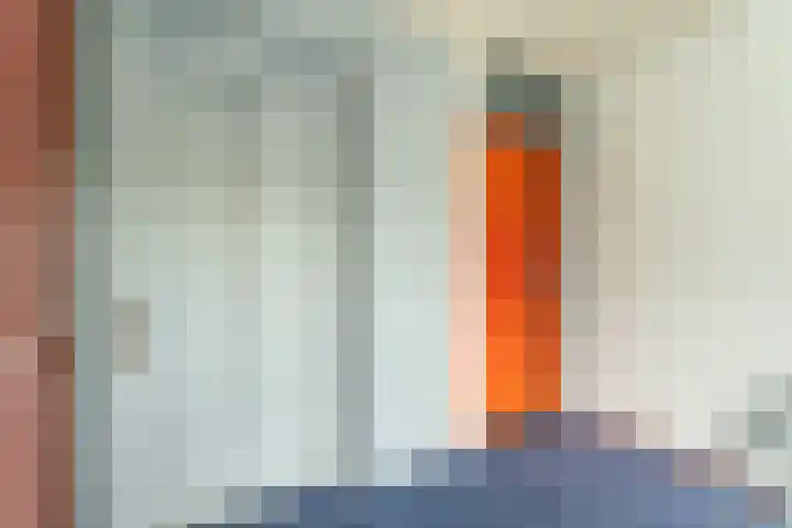 IJsvogelhof 15 Leiden thumbnail 25
