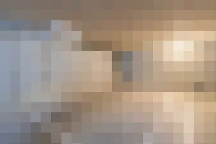 IJsvogelhof 15 Leiden thumbnail 26