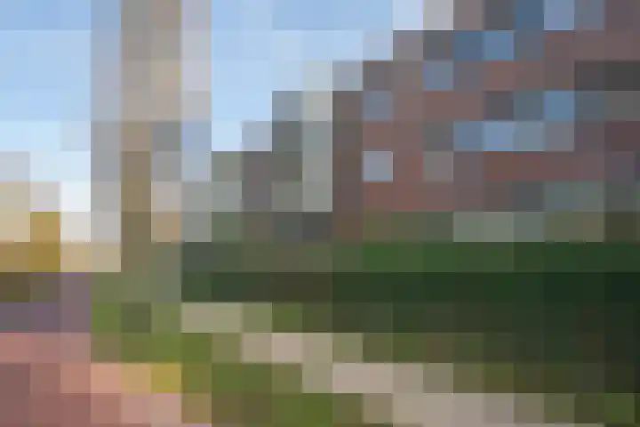 IJsvogelhof 15 Leiden thumbnail 33