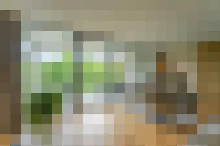 IJsvogelhof 15 Leiden thumbnail 6