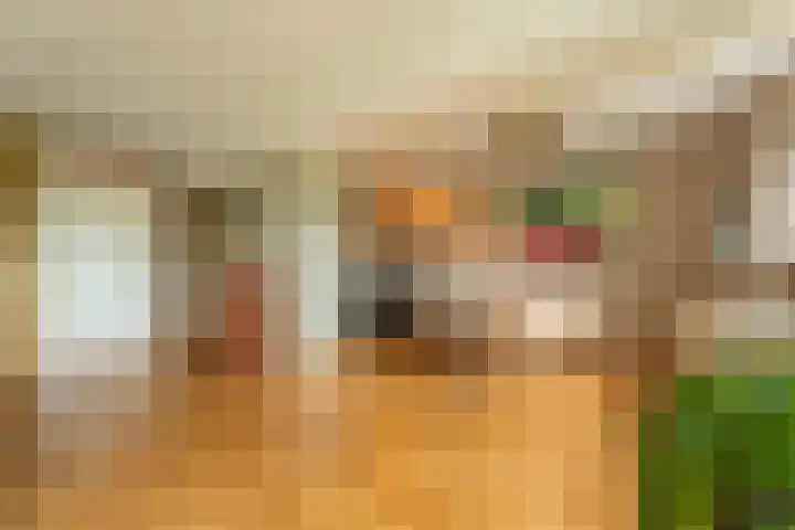 IJsvogelhof 15 Leiden thumbnail 7