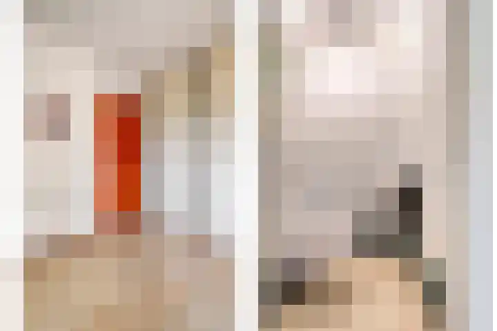 IJsvogelhof 18 Leiden thumbnail 10