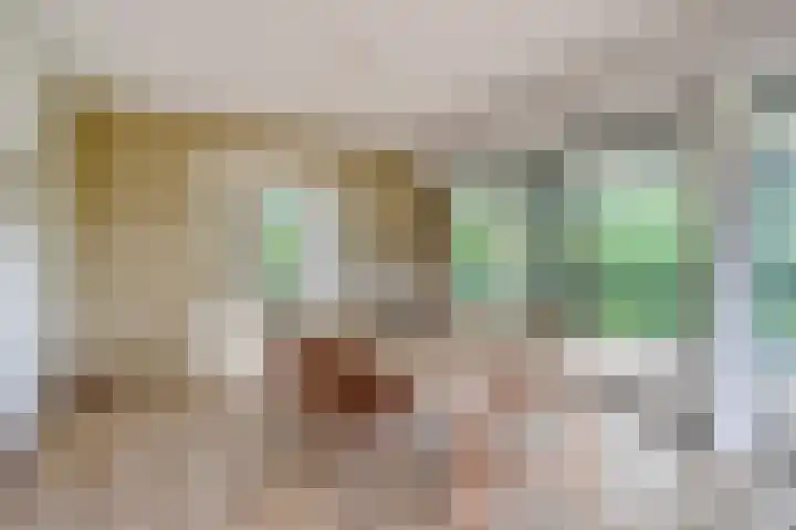 IJsvogelhof 18 Leiden thumbnail 14