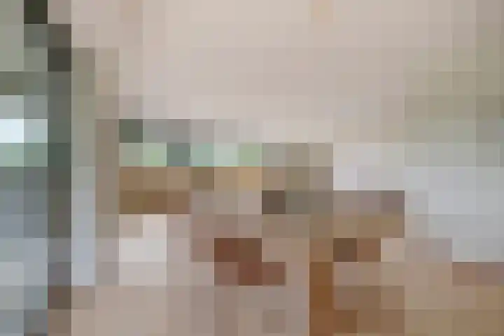 IJsvogelhof 18 Leiden thumbnail 15