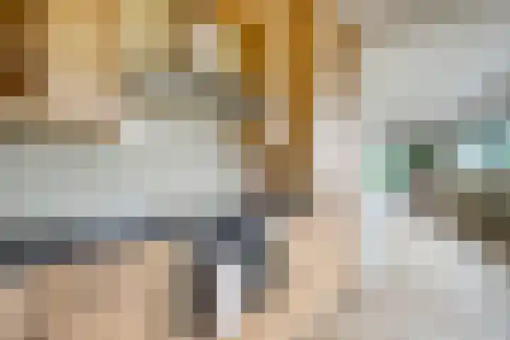 IJsvogelhof 18 Leiden thumbnail 17