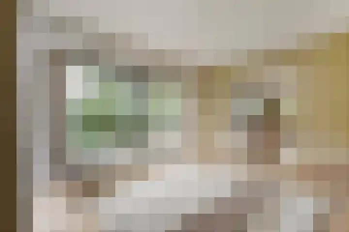 IJsvogelhof 18 Leiden thumbnail 20