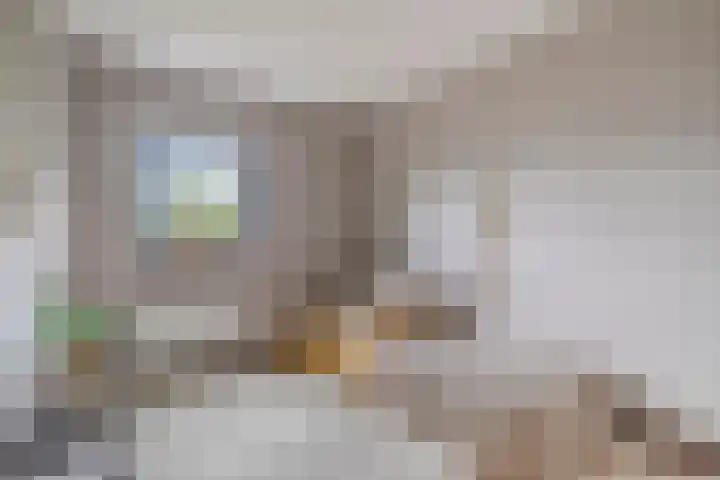 IJsvogelhof 18 Leiden thumbnail 25