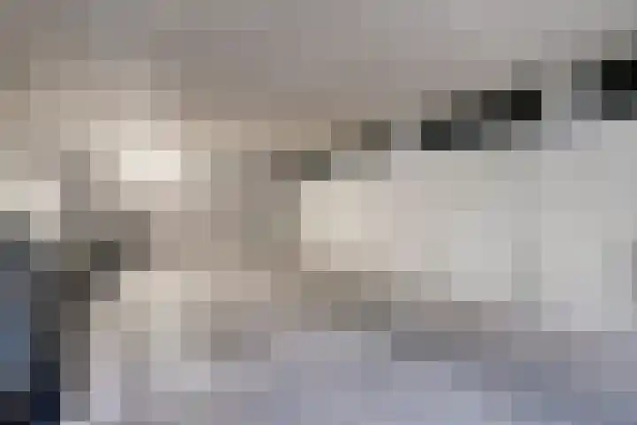 IJsvogelhof 18 Leiden thumbnail 32