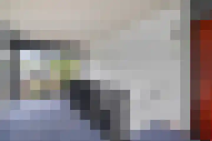 IJsvogelhof 18 Leiden thumbnail 7