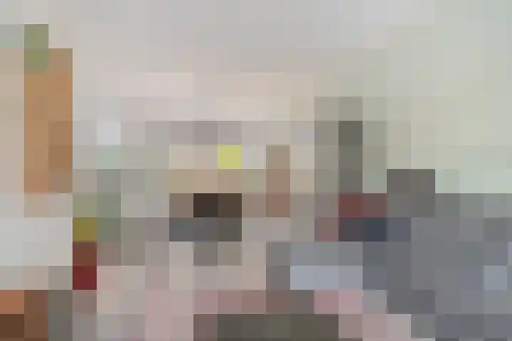 IJsvogelhof 21 Nuenen thumbnail 12