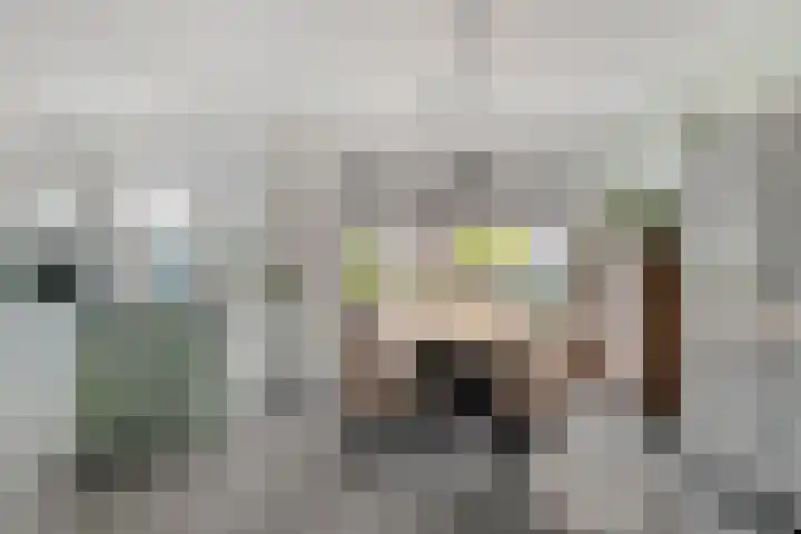 IJsvogelhof 21 Nuenen thumbnail 13