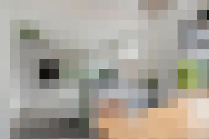 IJsvogelhof 21 Nuenen thumbnail 14