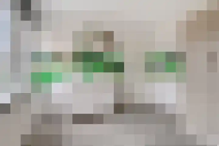 IJsvogelhof 21 Nuenen thumbnail 25