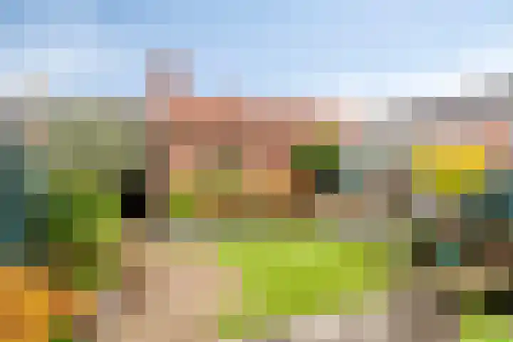 IJsvogelhof 21 Nuenen thumbnail 34