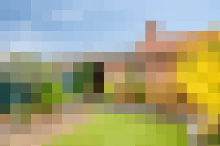 IJsvogelhof 21 Nuenen thumbnail 35