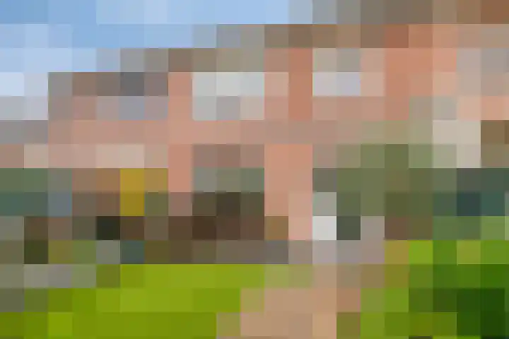 IJsvogelhof 21 Nuenen thumbnail 37
