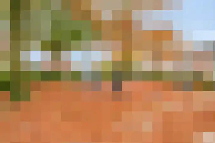 IJsvogelhof 21 Nuenen thumbnail 39